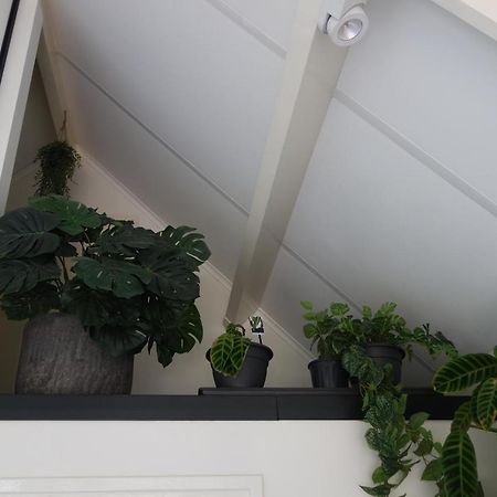 B&B Achterom Loon op Zand Ngoại thất bức ảnh